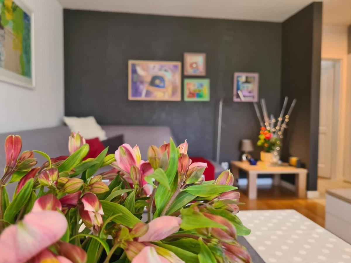 Apartment Vedrana Ρόβινι Εξωτερικό φωτογραφία
