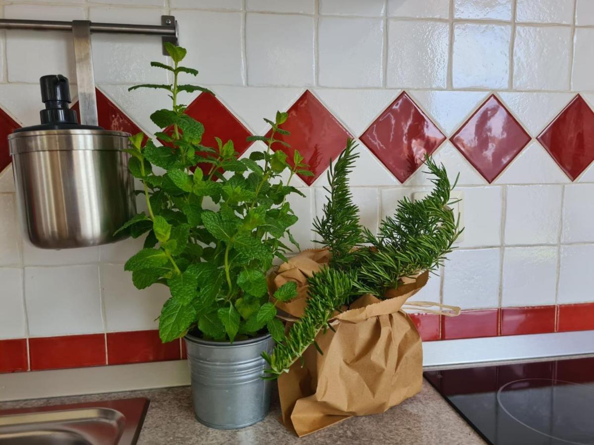 Apartment Vedrana Ρόβινι Εξωτερικό φωτογραφία