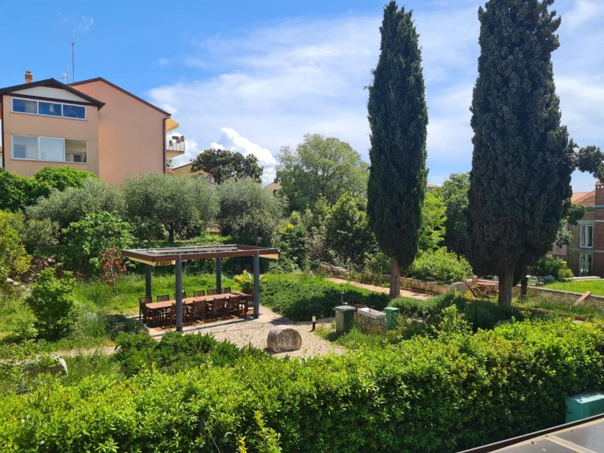 Apartment Vedrana Ρόβινι Εξωτερικό φωτογραφία